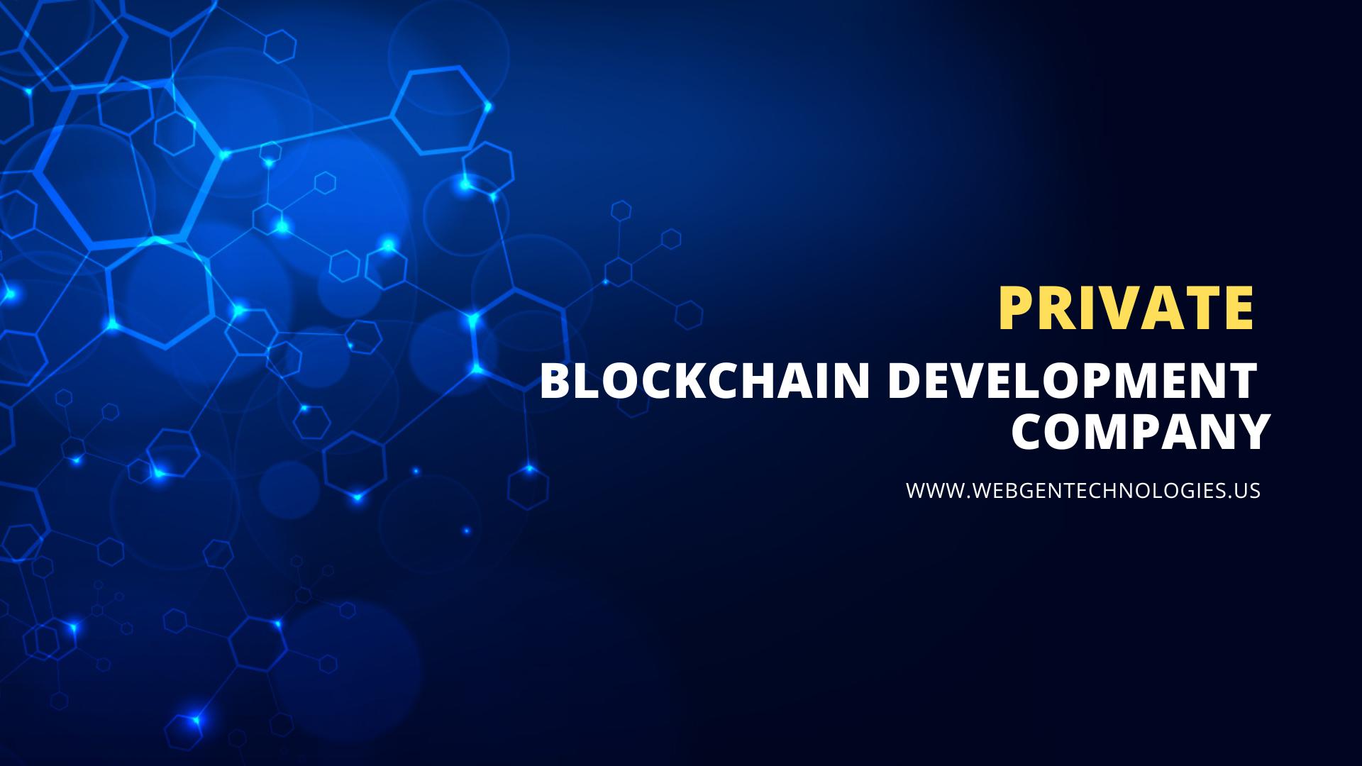 Private Blockchain Development Company