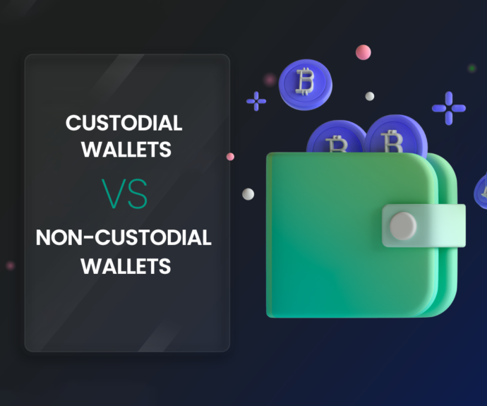 Custodial vs Non-Custodial Wallets